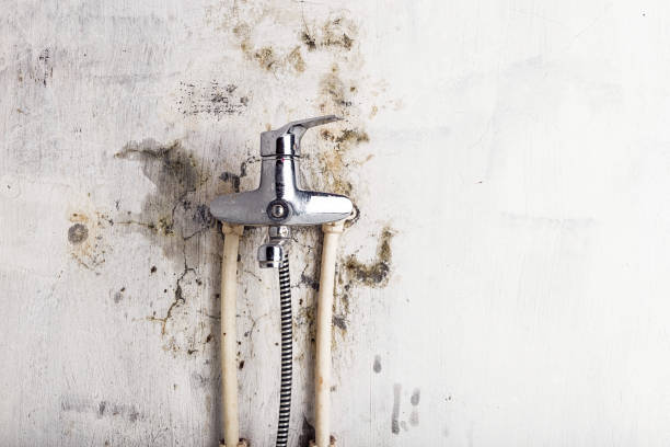 Home Mold Removal in Silver Lake, KS