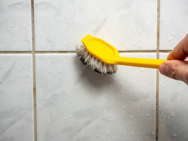 Silver Lake, KS Mold Removal Company