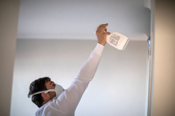 Best Fast Mold Removal  in Silver Lake, KS
