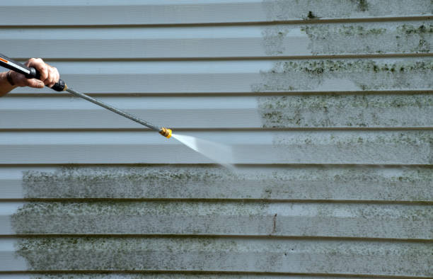 Best Residential Mold Removal  in Silver Lake, KS