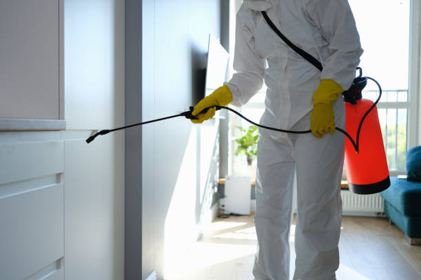 Best Water Damage Restoration  in Silver Lake, KS