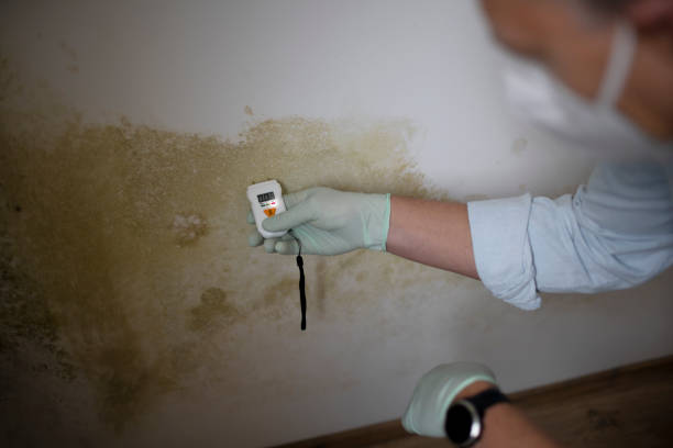 Mold Removal and Inspection in Silver Lake, KS